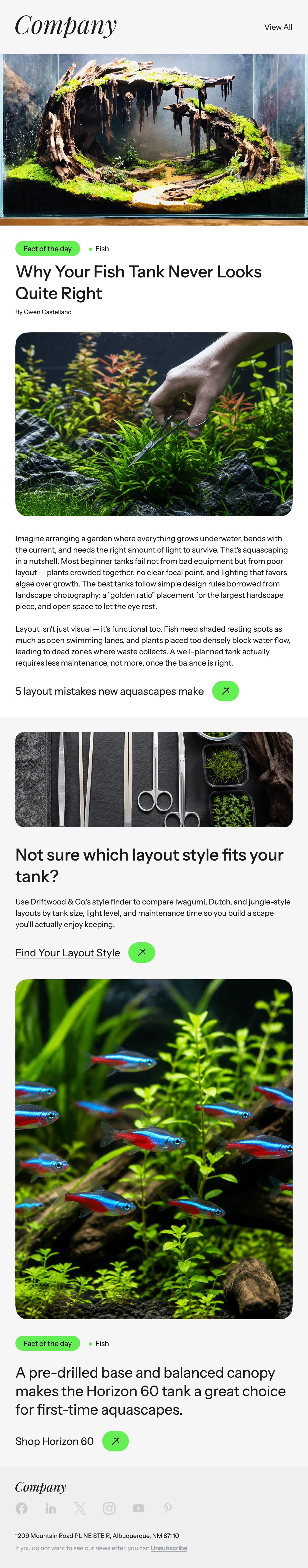 Blog Newsletter Email Template