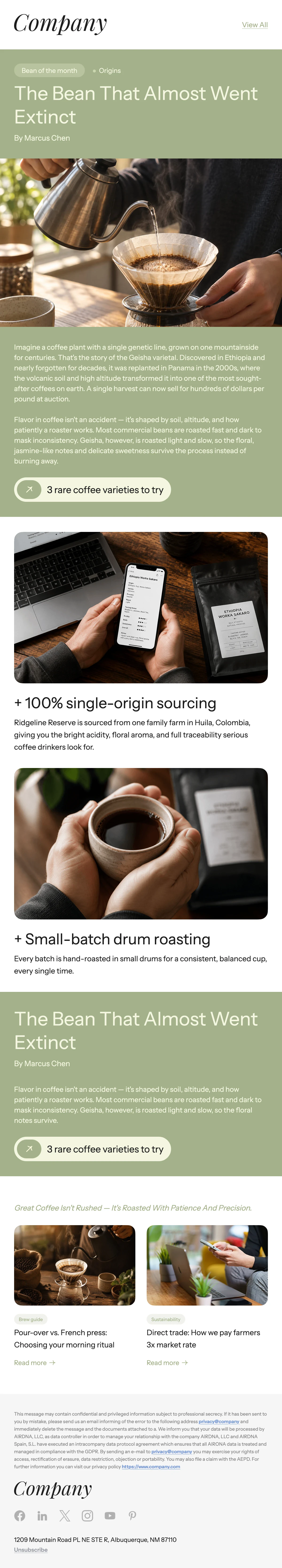 Product Newsletter Email Template